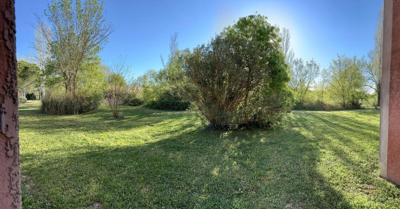 Nid Douillet Avec Terrasse Au Calme Daire Arles Dış mekan fotoğraf